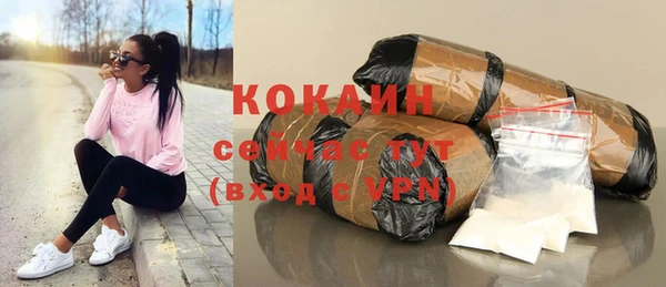 тгк Каменка