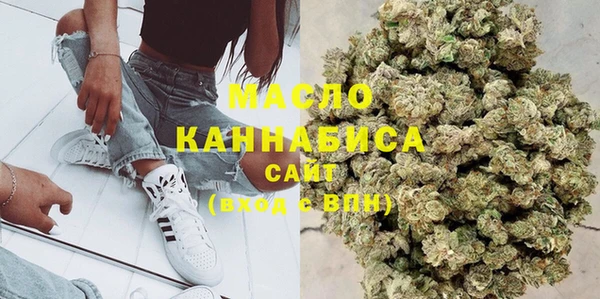 тгк Каменка