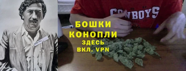 альфа пвп Каменногорск