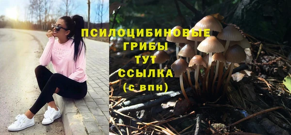 тгк Каменка