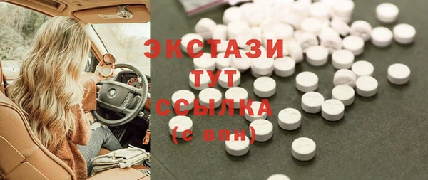 тгк Каменка