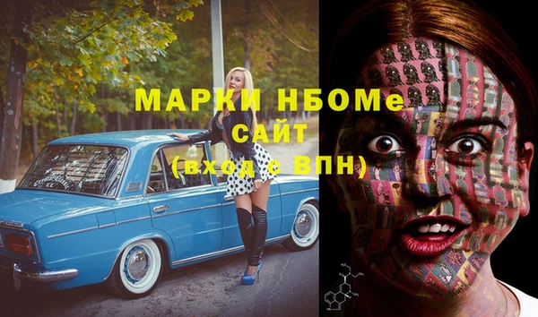 тгк Каменка