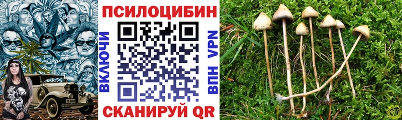 Галлюциногенные грибы MAGIC MUSHROOMS  Купить закладки  Сланцы 
